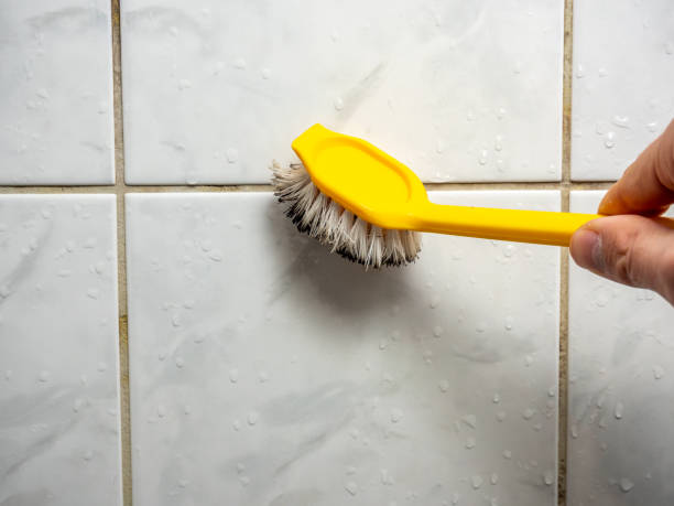 Best Mold Damage Repair  in Bernalillo, NM