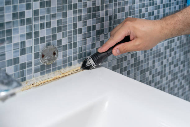 Best Certified Mold Removal  in Bernalillo, NM